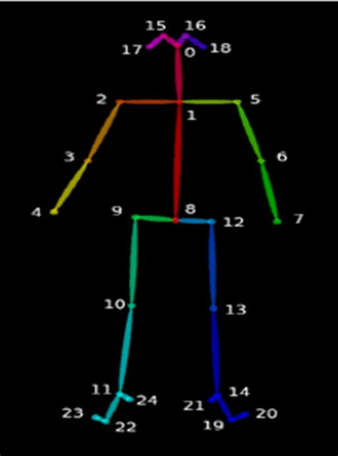 The Keypoints Recognized By Openpose In Human Motion Detection