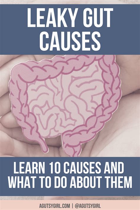 Learn About 10 Of The Most Common Leaky Gut Syndrome Causes Leaky Gut Leaky Gut Syndrome