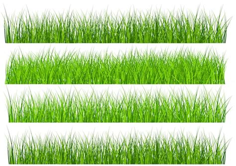 Premium Vector Green Grass Borders Set Isolated On White Background