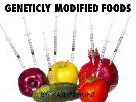 Copy Of Geneticly Modified Foods By Katlyn Hunt