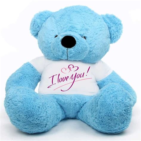 Teddy Day 2022 Teddy Bear Of Every Color Is A Symbol Of Love Know Its Meaning