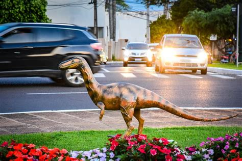 Dinossauro Fuj O De Cruzeiro Do Oeste Posa Para Fotos E Recebe Afagos