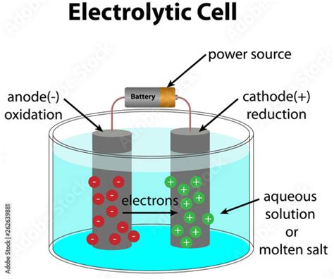 Electrolytic Cell Diagram - Buy this stock vector and explore similar ...