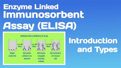 Enzyme Linked Immunosorbent Assay Elisa Introduction Principle