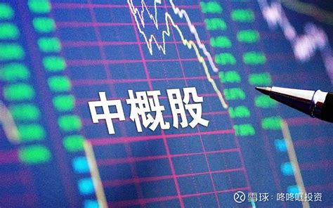 眼看他起高楼，眼看他楼塌了：中概互联基金 大家中午好，我是咚咚哐。回顾近两年的证券市场，“中概互联网etf”基金名声大盛，有名不是因为涨的多