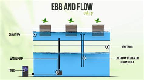 How to Make a DIY Ebb and Flow Hydroponic System (5 Steps)