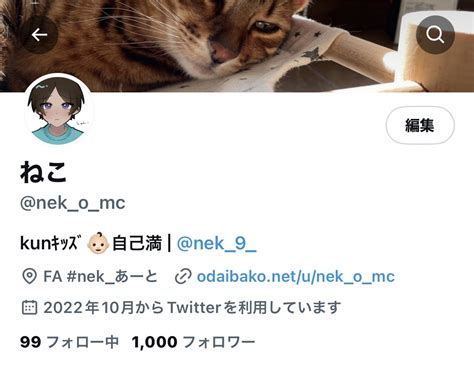 ねこ On Twitter フォロワーさん1000人ありがとうございます😭😭😭😭😭😭