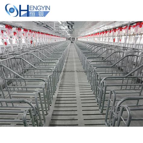 Hot Galvanized Pig Gestation Stall China Sow Gestation Crates And