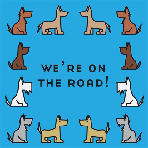 What the animal adoption center process looks like for you 7