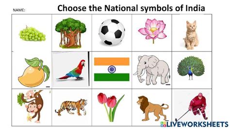 7028380 National Symbols Of India Canara Higher