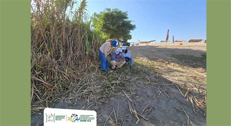 Adoptamos acciones inmediatas para proteger la laguna Morón Noticias