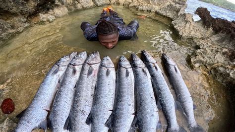 8 Huge Barracuda Speared 2 Monster African Pompano Spotted All In