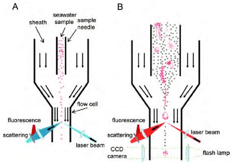 1 A Schematic Representation Of Conventional Flow Cytometric Analysis