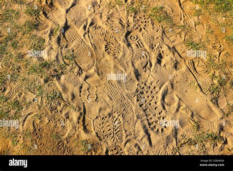 Shoe and trainer shoe footprints in dry sand seen from above in morning ...