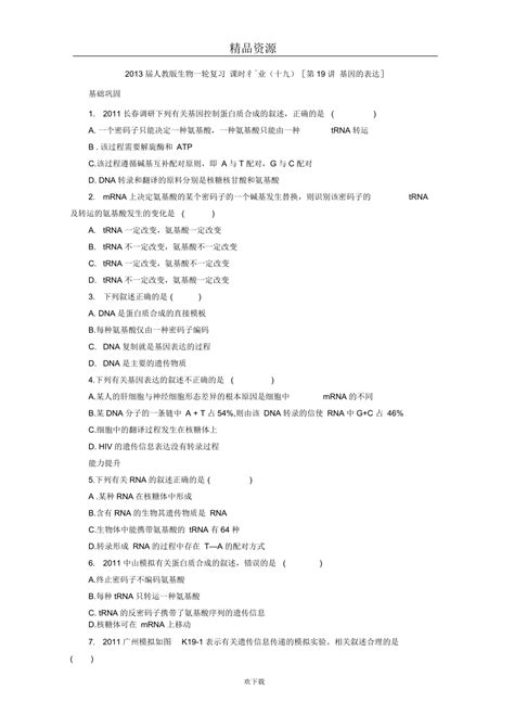 人教生物一轮复习课时作业十九 第19讲基因的表达