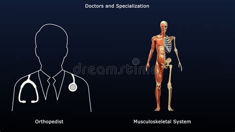 Orthopedic Surgeon Stock Illustrations Orthopedic Surgeon Stock