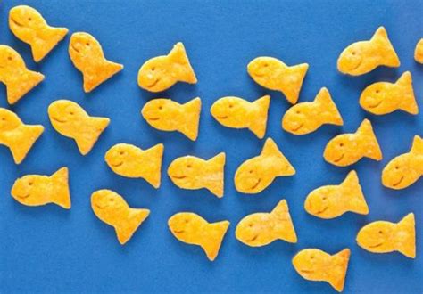 Homemade Gluten Free Goldfish Crackers Recipe Madnessbuenos