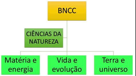 A BNCC DE CIÊNCIAS NO ENSINO FUNDAMENTAL YouTube