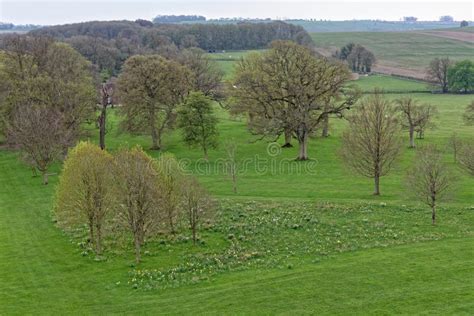 Ashdown House Gardens - Oxfordshire - United Kingdom Stock Image ...