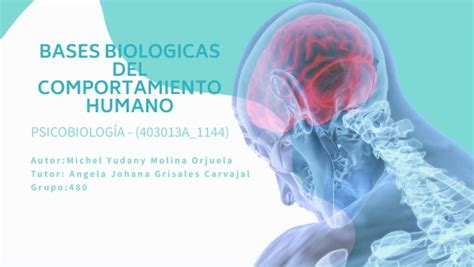 Tarea Identificaci N Bases Biol Gicas Del Comportamiento