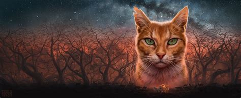 Firestar Wallpapers Top Free Firestar Backgrounds Wallpaperaccess