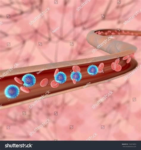 250 Hemoglobin Carbon Dioxide Images Stock Photos Vectors Shutterstock