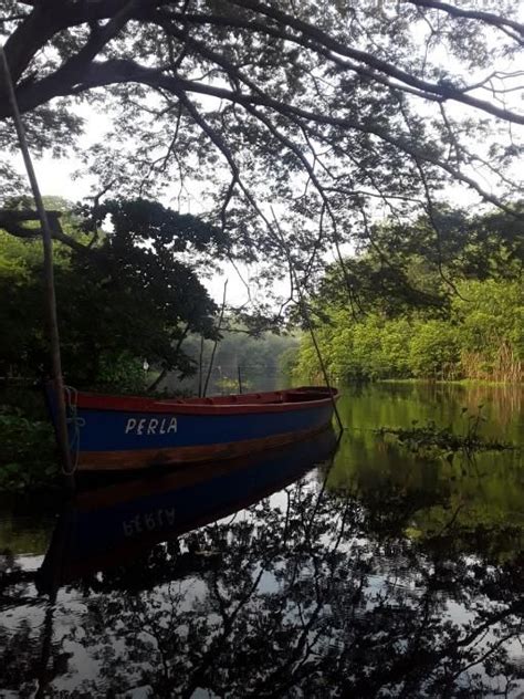 MÚLTIPLES MONTERRICO Y HAWAII DEL PACÍFICO ÁREAS DE USOS