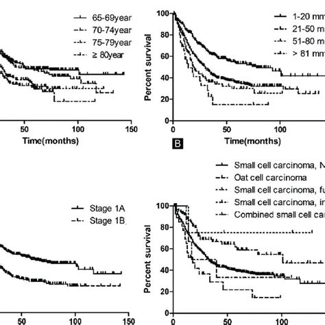 Kaplan Meier Survival Curves For Patients According To A Age B