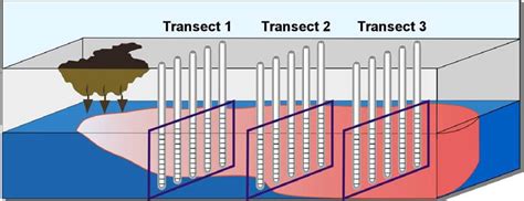 4 Measuring Mass Flux And Mass Discharge Use And Measurement Of Mass