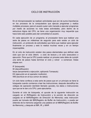 Ciclo De Instruccion PDF