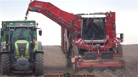 Grimme Brettmeister John Deere Kartoffelernte Harvesting