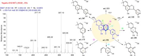 Scheme 1 Cid Spectrum A And The Proposed Fragmentation Pathways B