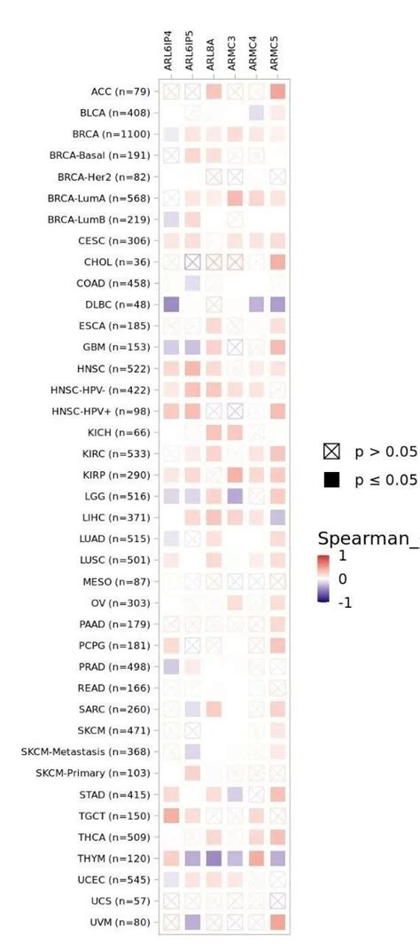 Rna 29 Sci文章中基于tcga的免疫浸润细胞分析 Timer20 Csdn博客