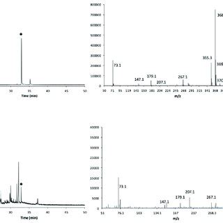 Representative GC Chromatograms And MS Spectra In EI Mode At 70 EV Of