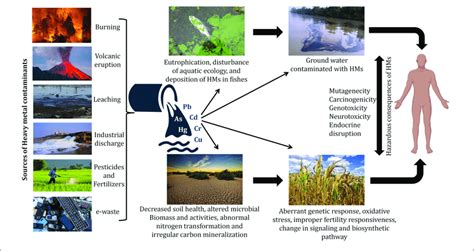 Microbe Mediated Environmental Remediation Of Heavy Metals