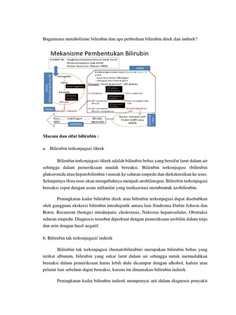 Bagaimana Metabolisme Bilirubin Dan Apa Perbedaan Bilirubin Direk Dan Indirek Pdf