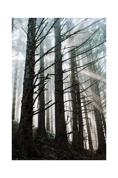 Moody Elopement On The Foggy Coastal Cliffside Karina Maks