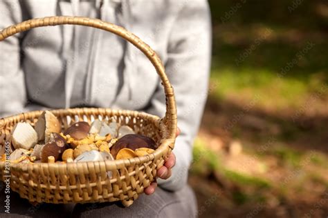 Frau H Lt Einen Korb Mit Waldpilzen Steinpilze Und Pfifferlinge Aus