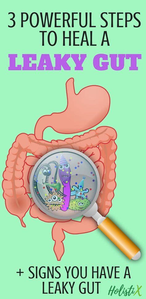 How To Heal Leaky Gut In Powerful Steps Leaky Gut Leaky Gut