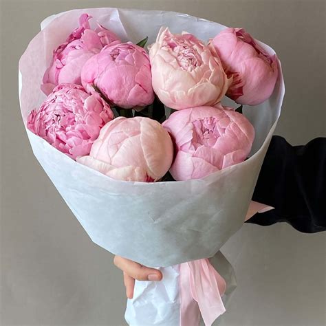 Цветы похожие на розы - Pion Store