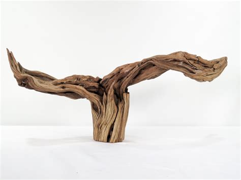 Manzanita Stumproot 21 Great Driftwood For Aquascaping Your Aquarium