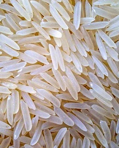 Pusa Basmati Rice Sella 50 Kg At Rs 81 Kg In Patna ID 2853650662973