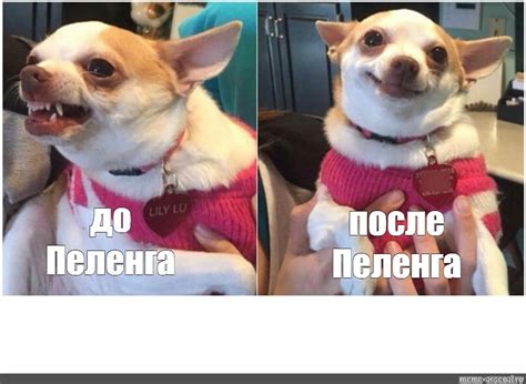 Комикс мем: "до Пеленга после Пеленга" - Комиксы - Meme-arsenal.com