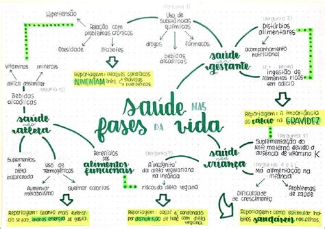 Mapas Mentais Sobre NutriÇÃo Study Maps