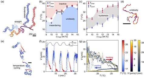 Swimming dynamics controlled reversibly via temperature and fuel ...