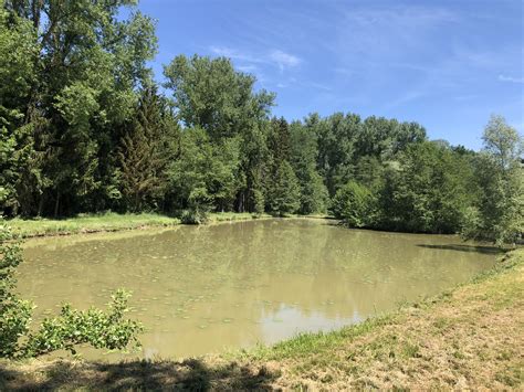 Weiher Rosenbirkach Fischereiverein Burghaslach De