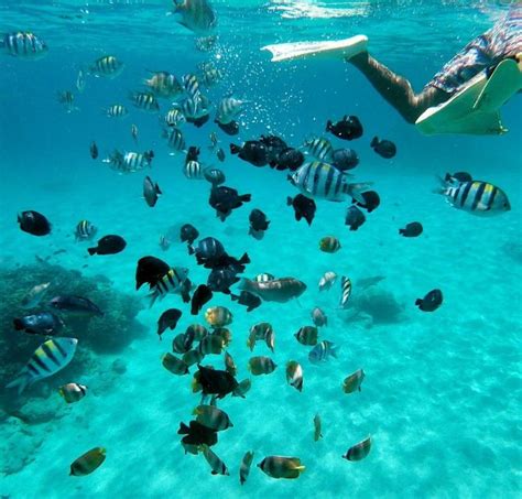 Bali All Inclusive Snorkeling At Blue Lagoon Beach