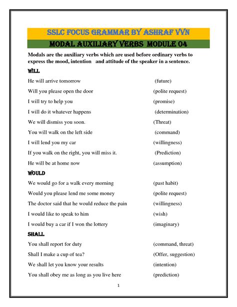 SOLUTION Kerala Sslc English Grammar Modal Auxiliary Verbs Module 4