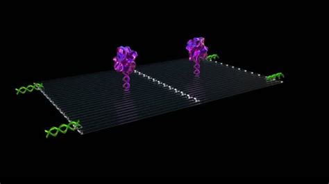 Cancer Fighting Nanorobots Programmed To Seek Eurekalert