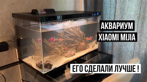 Аквариум Xiaomi Mijia Smart Fish Tank - YouTube